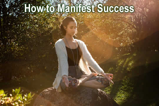manifest success